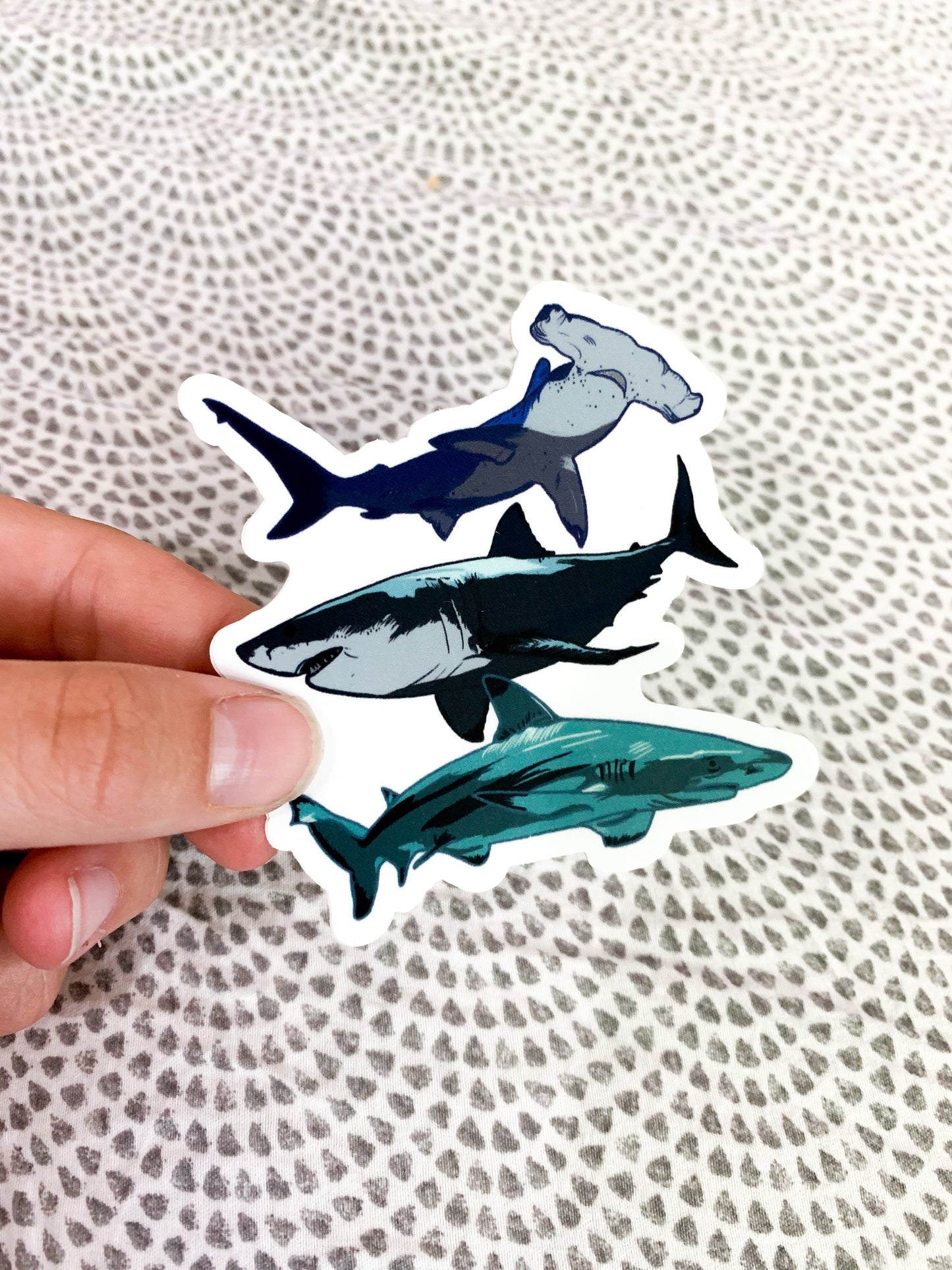 shark sticker