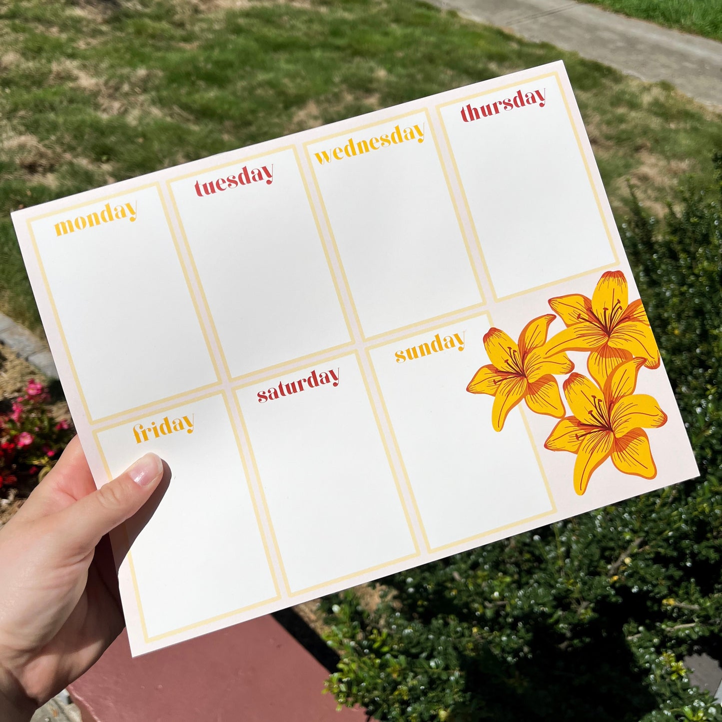 lily weekly planner