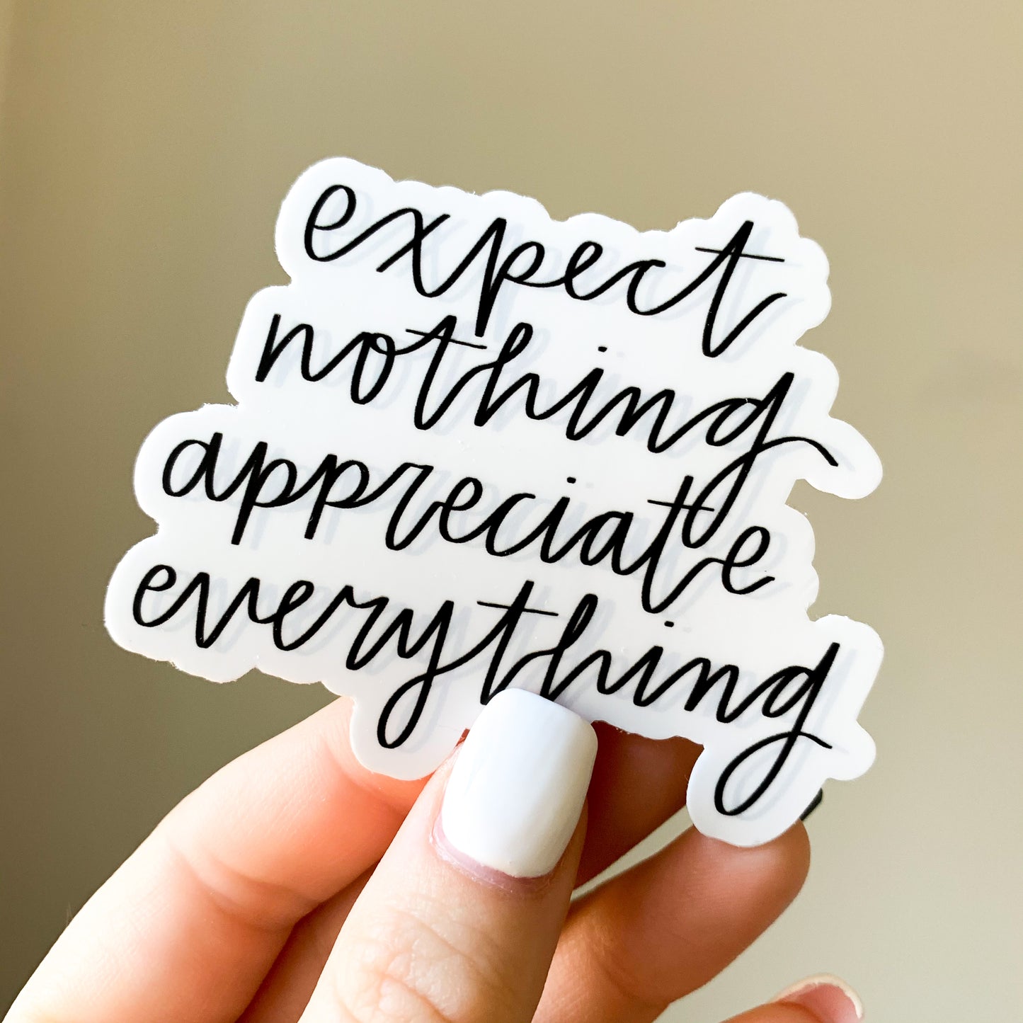 expect nothing, appreciate everything sticker