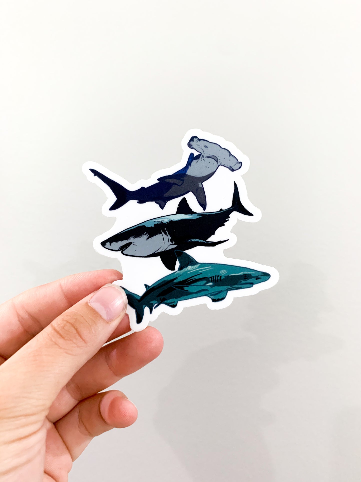 shark sticker