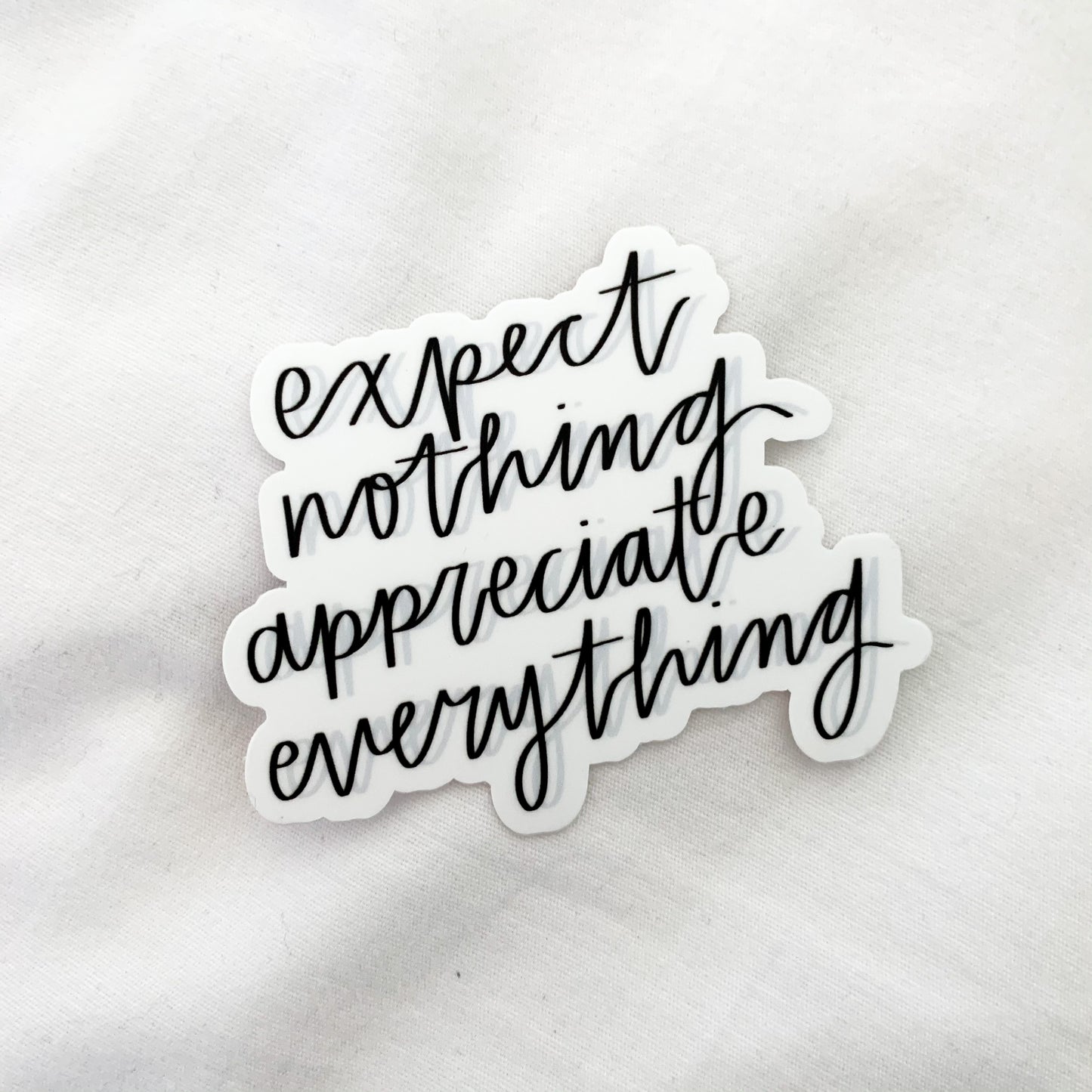 expect nothing, appreciate everything sticker